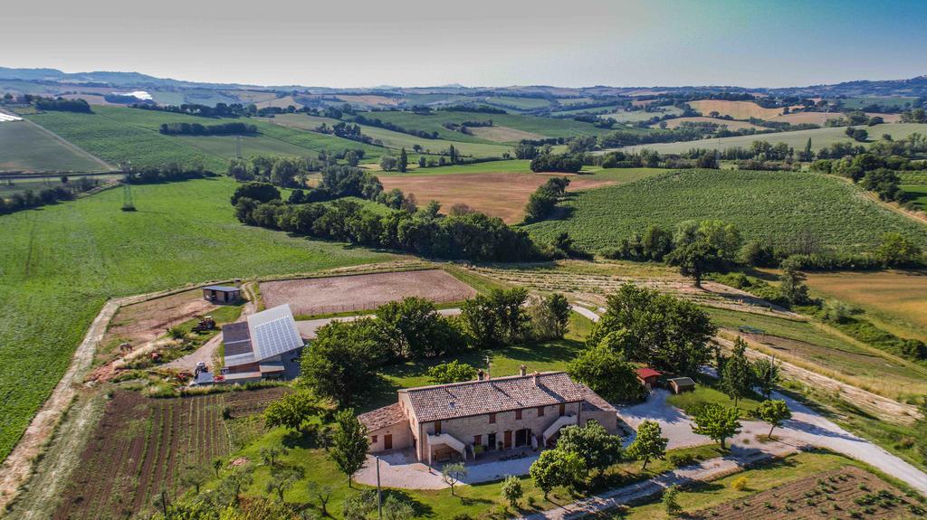 Casale Talevi Villa Cartoceto Eksteriør bilde